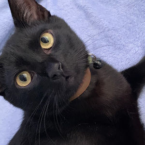 Meet your Posher, Janelle